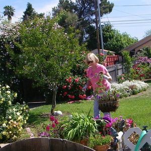 Meet your Posher, Phyllis dyer